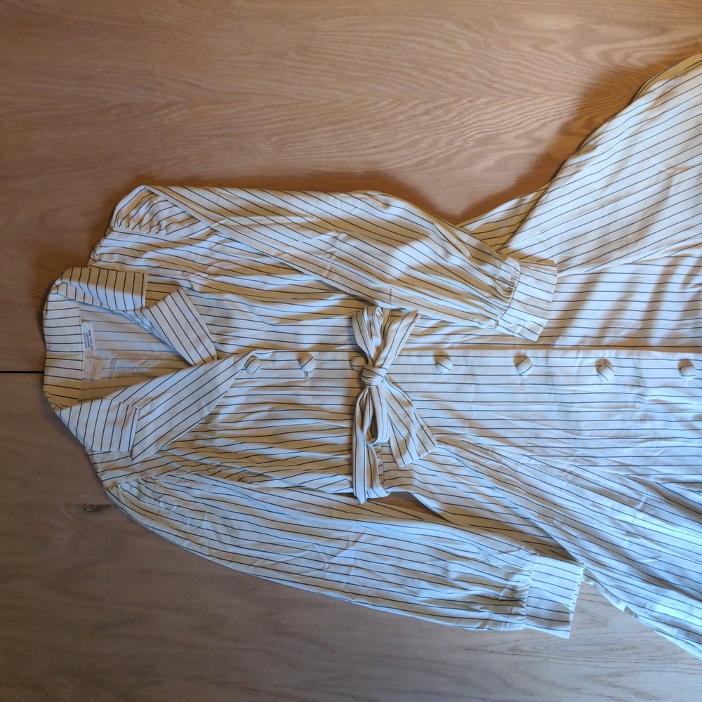 Vintage Pinstripe Dress